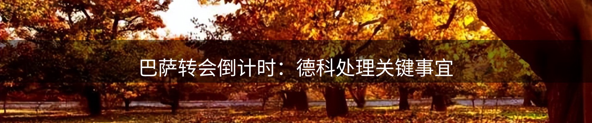 今日简报